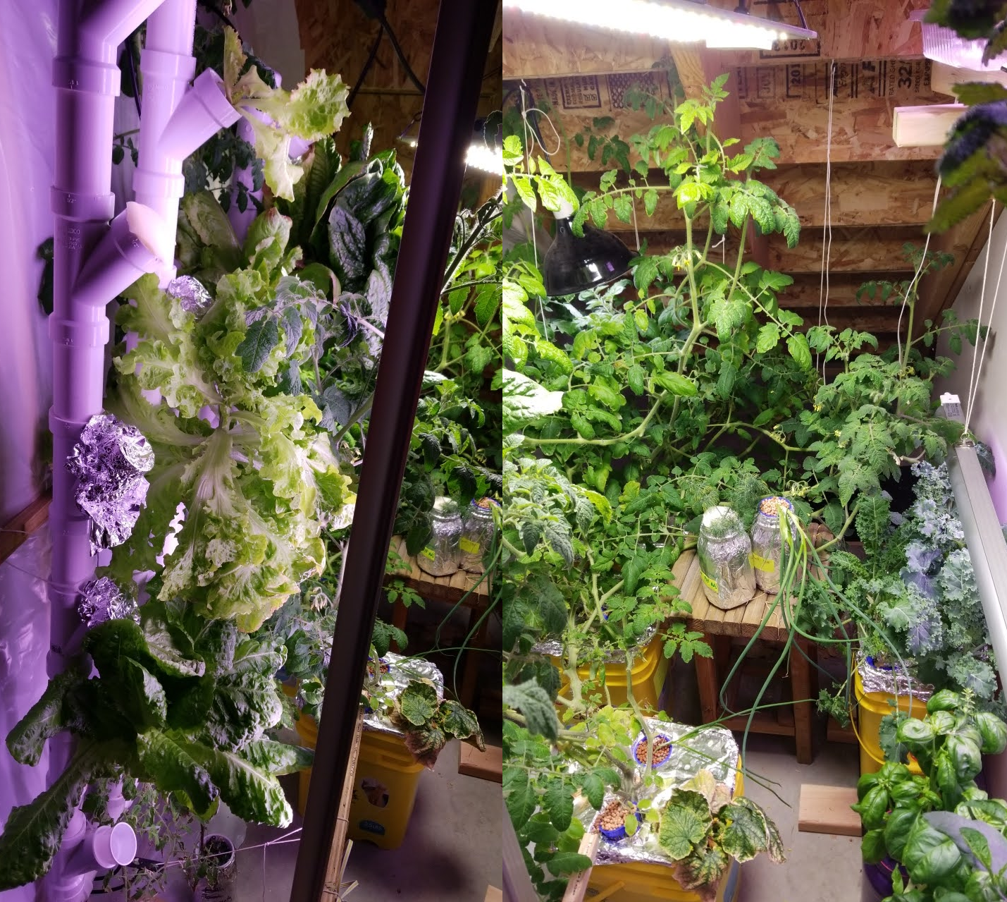 Hydroponics