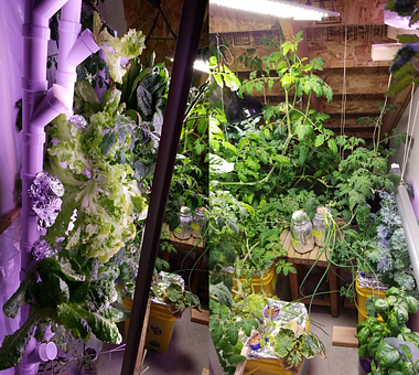 Hydroponics